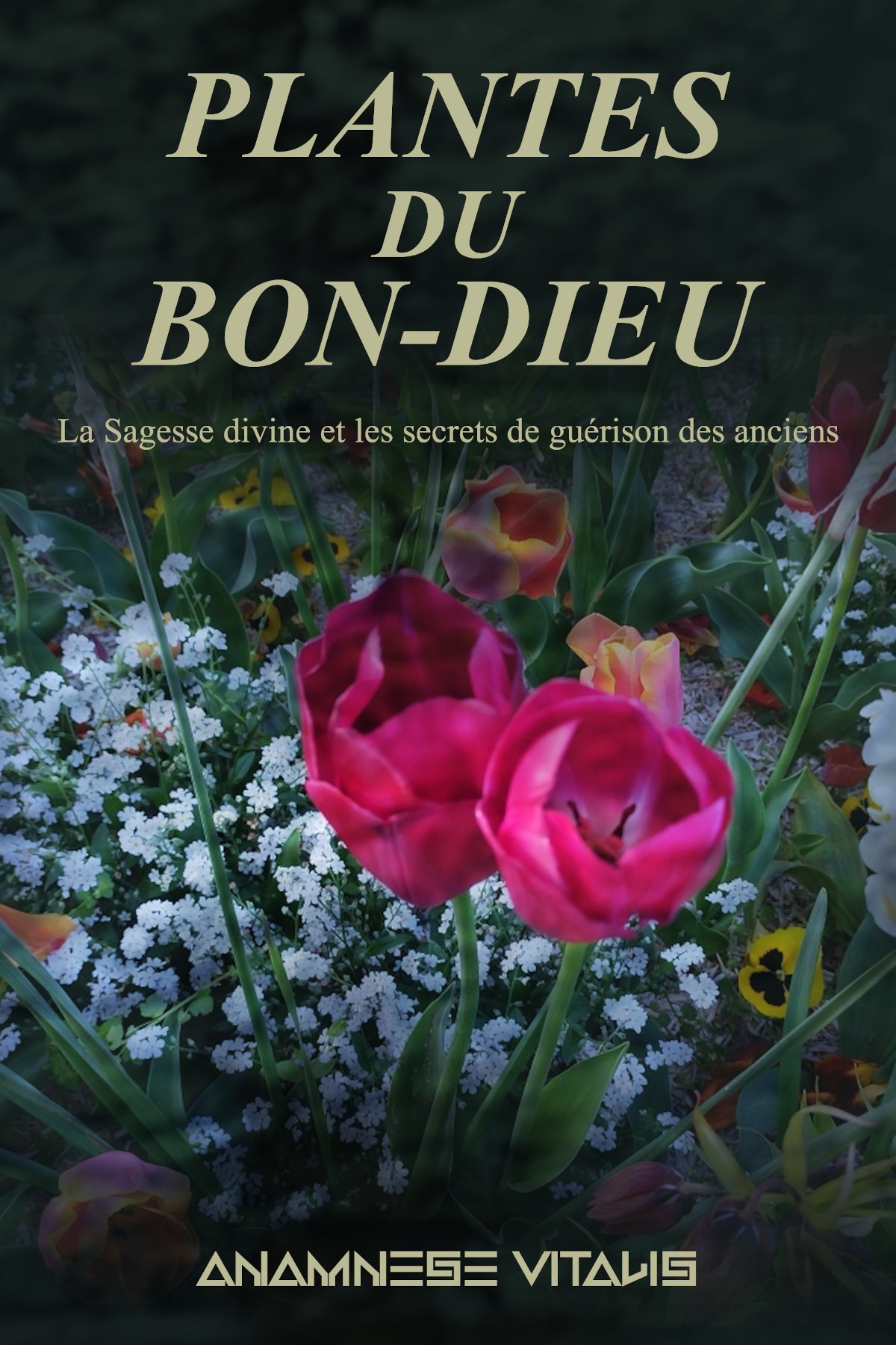 Guide Plantes Médicinales